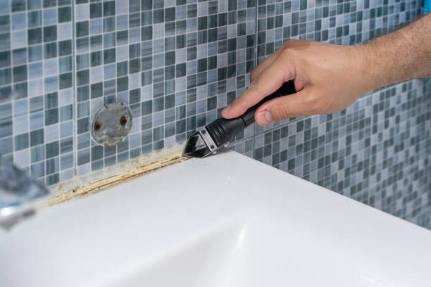 Best Bathroom Mold Remediation in Atmore, AL